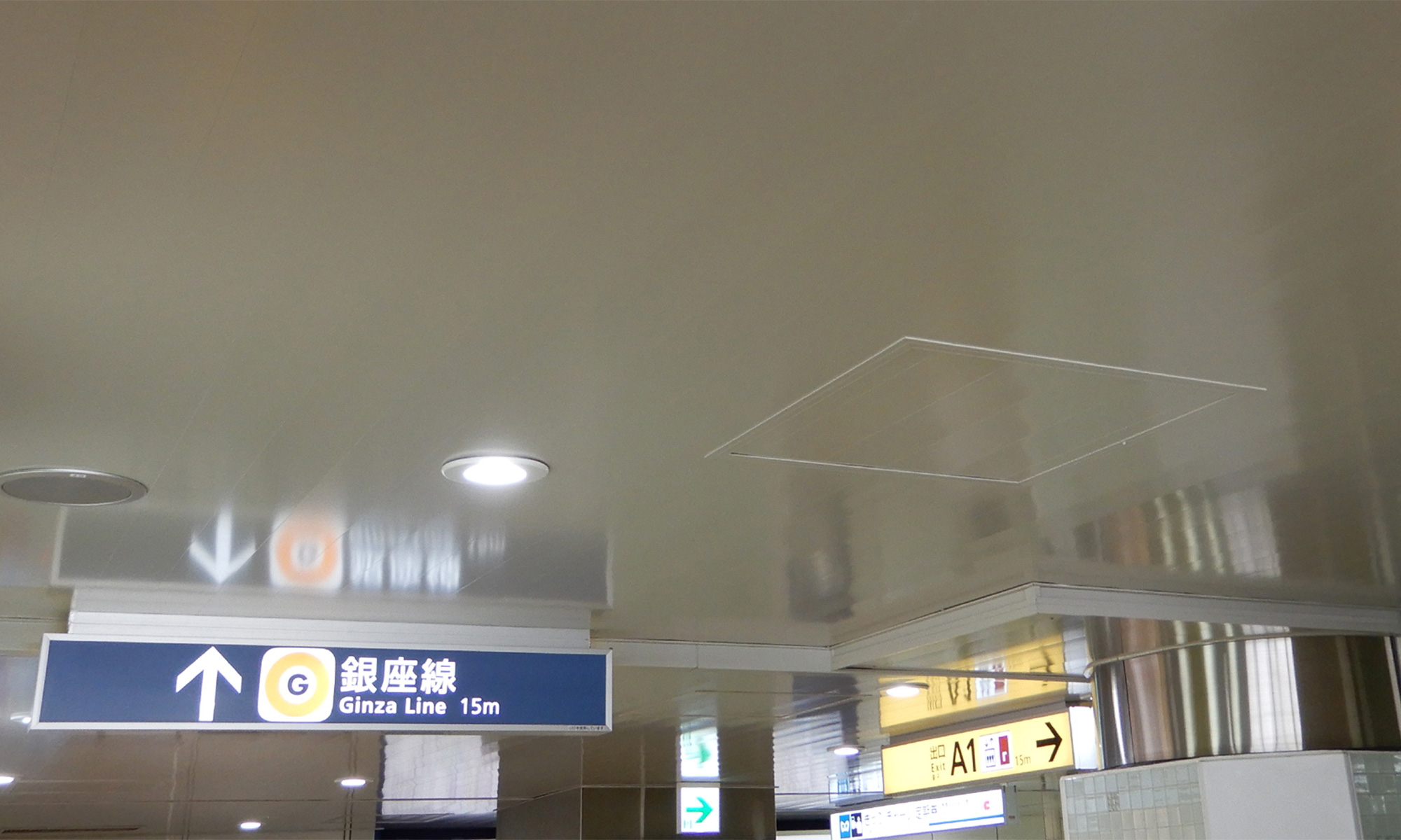 明日をつなぐ 色の世界へ